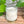 Candle in a glass jar with a label on a wooden surface with green leaves in the background