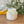 An iridescent jar containing wax with a match lid on top of the jar. The jar sits on a wooden surface with yellow fringed fabric, greenery, and a glass orb visible in the softly blurred background