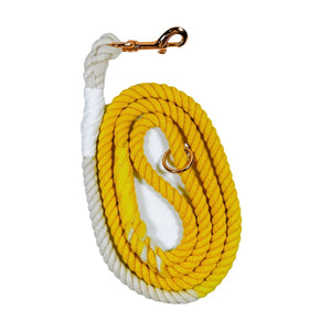 Yellow and white ombre faded rope dog leash with rose gold hardware and charm coiled up a white background. 