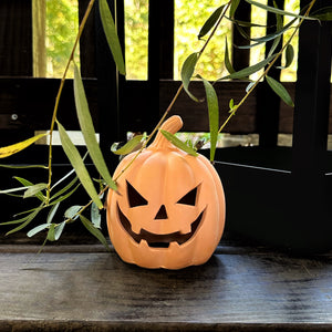 Terracotta jack-o'-lantern on a wooden surface with green leaves in the background