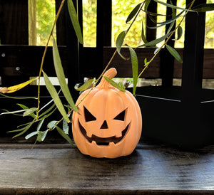 Terracotta jack-o'-lantern on a wooden surface with green leaves in the background