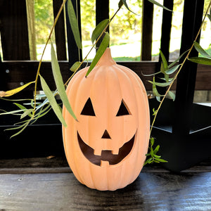 Terracotta jack-o'-lantern on a wooden surface with green leaves in the background
