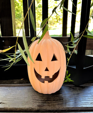 Terracotta jack-o'-lantern on a wooden surface with green leaves in the background