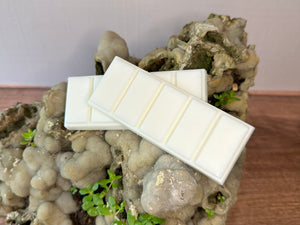 Two snap bar wax melts on a decorative rock with plants resting on a wooden surface. There is sand sprinkled on the rock. 