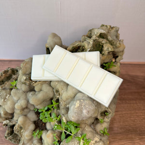 Two snap bar wax melts on a decorative rock with plants resting on a wooden surface. There is sand sprinkled on the rock. 