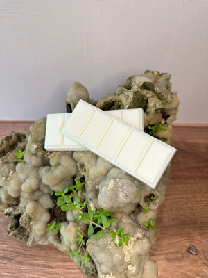 Two snap bar wax melts on a decorative rock with plants resting on a wooden surface. There is sand sprinkled on the rock. 